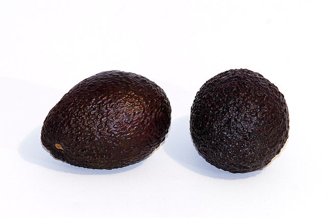 3-0 Best Foods for Healthy Hair-Avocados