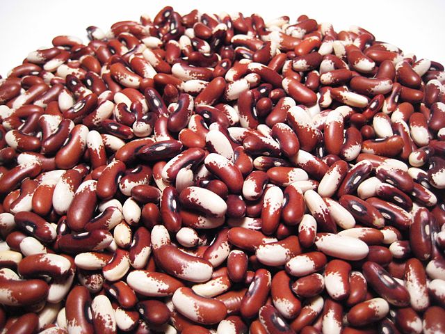 30 Best Foods for Healthy Hair-Beans
